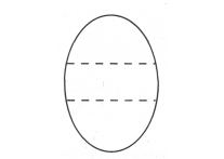 Oval large - 494